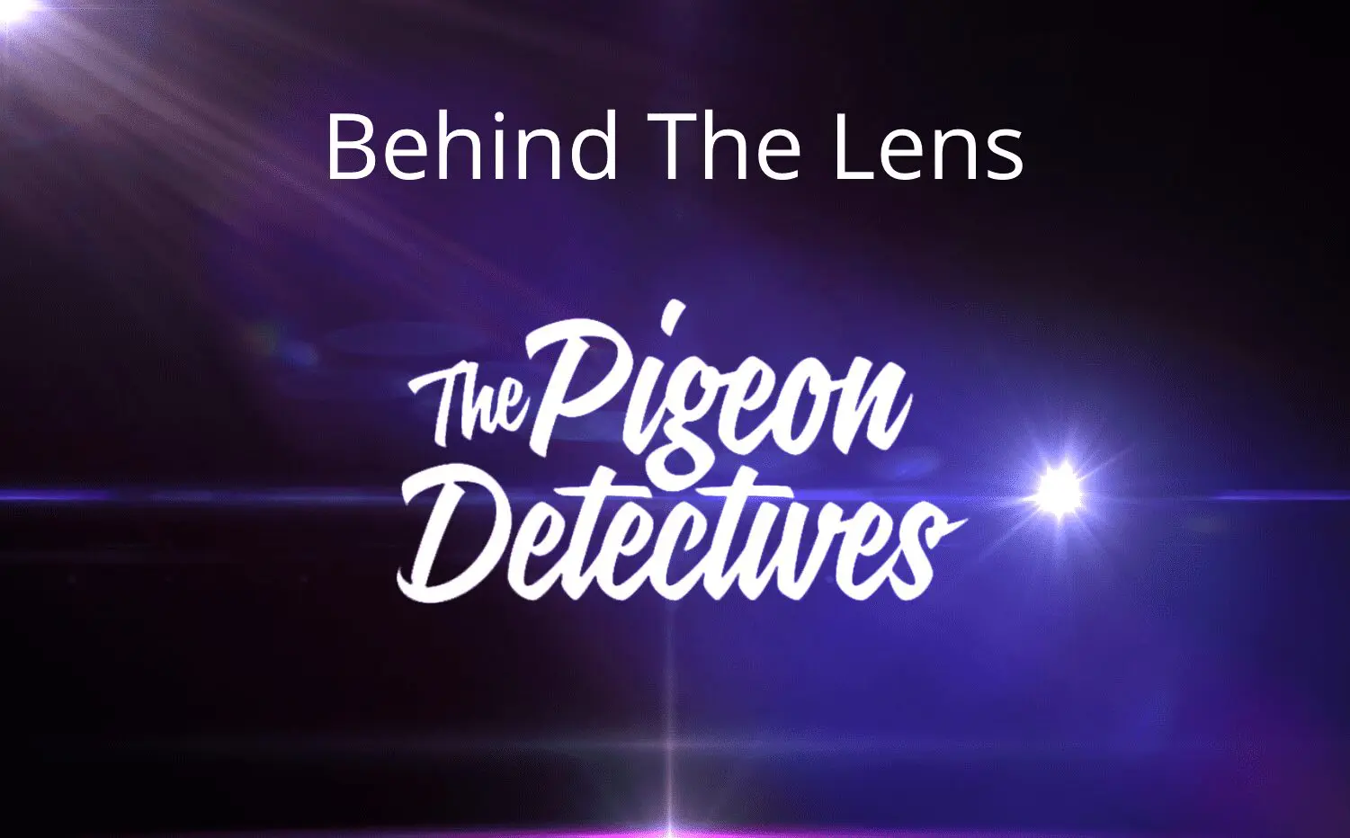 The Pigeon Detectives