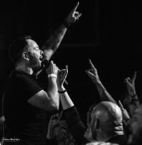 Shane Greenhall Those Damn Crows